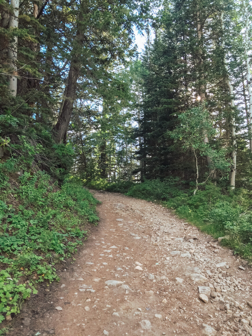 Hiking To Gloria Falls - Big World, Small Adventures